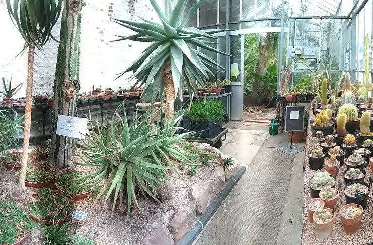 Firs Botanical Grounds, United Kingdom